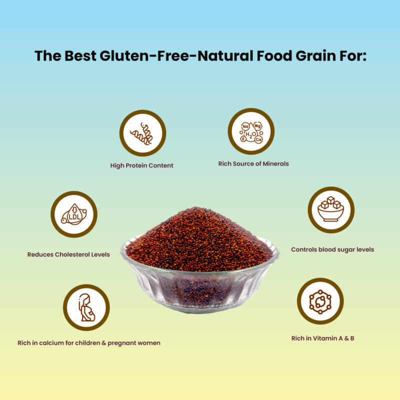 FingerMillets_infographic_2-800x800